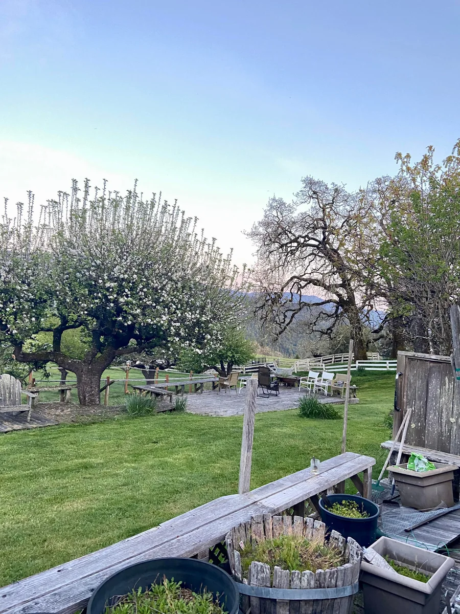 Outdoor ceremony space at Anderson Ranch Weddings in Humboldt County