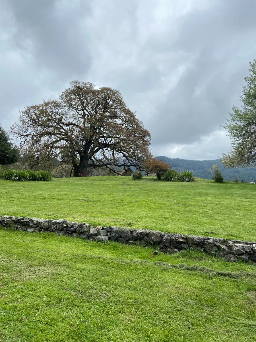 Outdoor reception area at Anderson Ranch Weddings