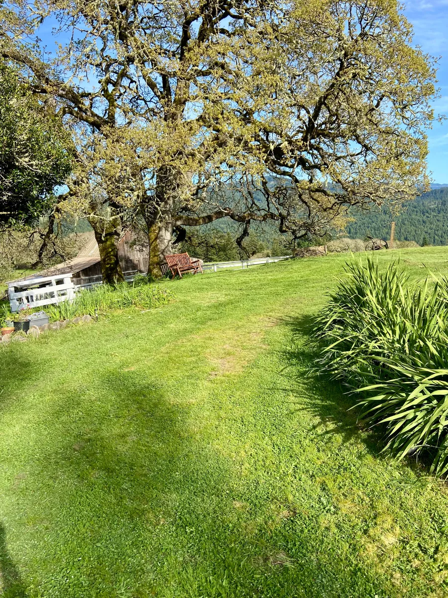 Main front lawn ceremony area with open valley views